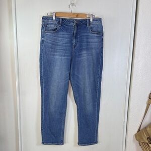 American Eagle Classic Blue Women's Mom Jeans size 14